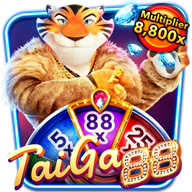 TaiGa88